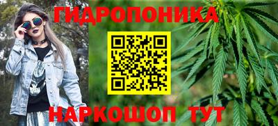 молекула духа Владимир