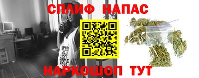 ECSTASY Владивосток
