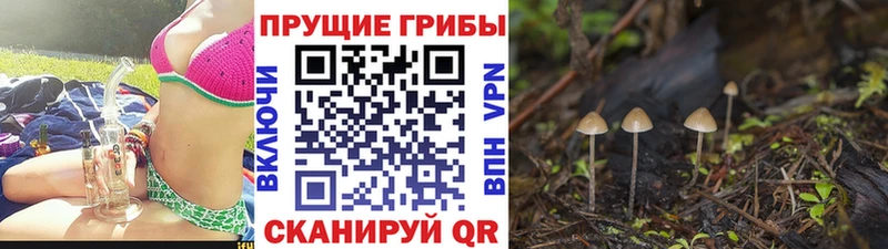 Галлюциногенные грибы мухоморы  Курган 