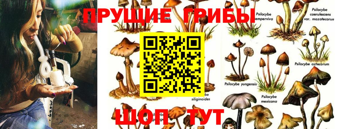 Галлюциногенные грибы Magic Shrooms Курган
