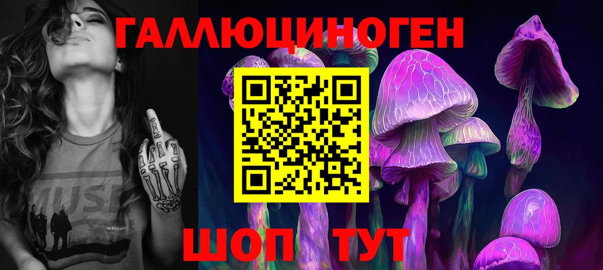 Курган  Псилоцибиновые грибы прущие грибы  Вход с VPN 